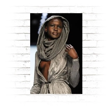 Alek Wek Poster