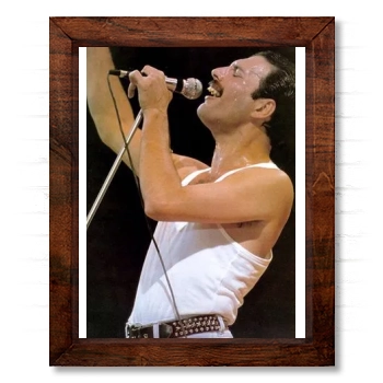 Freddie Mercury 14x17