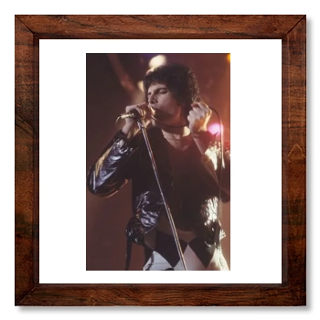 Freddie Mercury 12x12