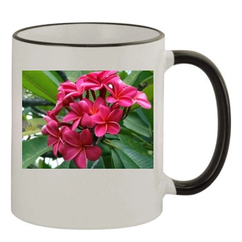 Flowers 11oz Colored Rim & Handle Mug