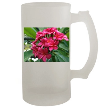 Flowers 16oz Frosted Beer Stein