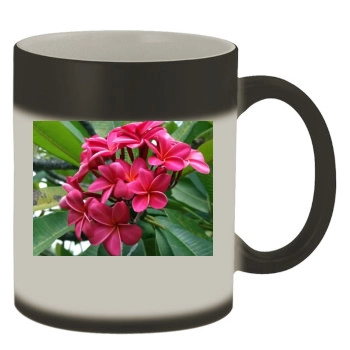 Flowers Color Changing Mug