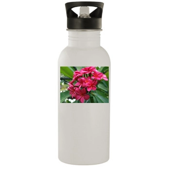 Flowers Stainless Steel Water Bottle