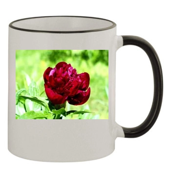 Flowers 11oz Colored Rim & Handle Mug