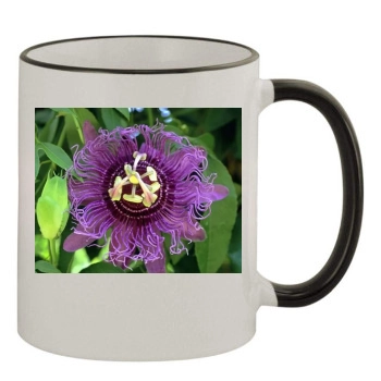 Flowers 11oz Colored Rim & Handle Mug