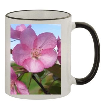 Flowers 11oz Colored Rim & Handle Mug