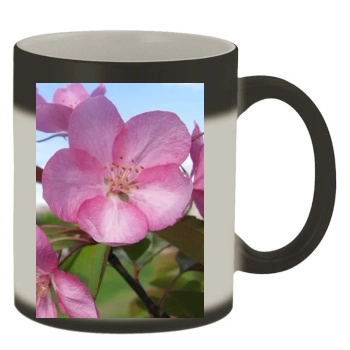 Flowers Color Changing Mug