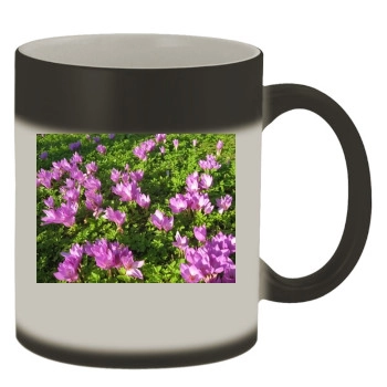 Flowers Color Changing Mug