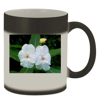 Flowers Color Changing Mug