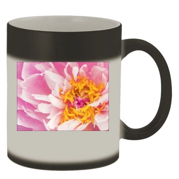 Flowers Color Changing Mug