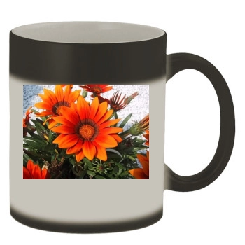 Flowers Color Changing Mug