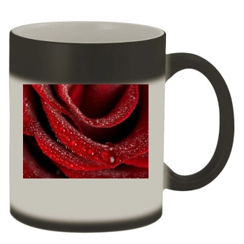 Flowers Color Changing Mug