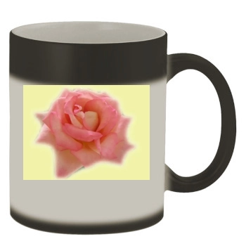 Flowers Color Changing Mug