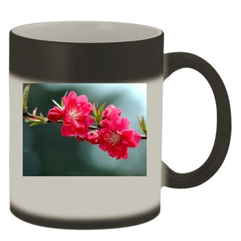 Flowers Color Changing Mug