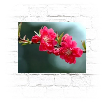 Flowers Metal Wall Art