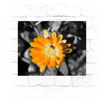 Flowers Metal Wall Art