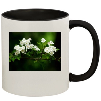 Flowers 11oz Colored Inner & Handle Mug