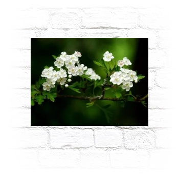 Flowers Metal Wall Art