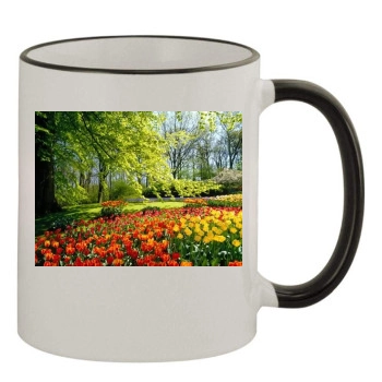 Flowers 11oz Colored Rim & Handle Mug