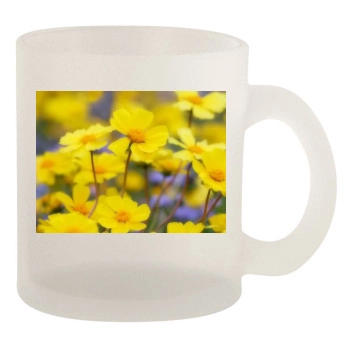 Flowers 10oz Frosted Mug