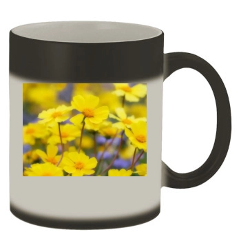 Flowers Color Changing Mug