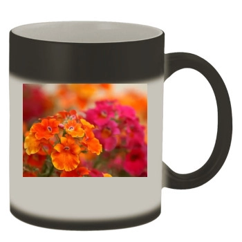 Flowers Color Changing Mug