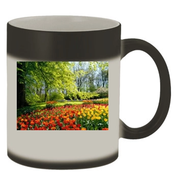 Flowers Color Changing Mug