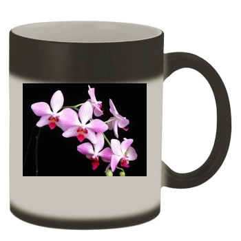 Flowers Color Changing Mug