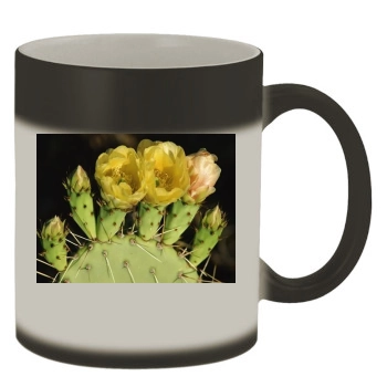 Flowers Color Changing Mug