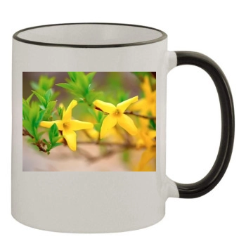 Flowers 11oz Colored Rim & Handle Mug