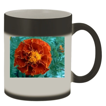 Flowers Color Changing Mug