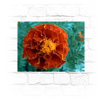 Flowers Metal Wall Art