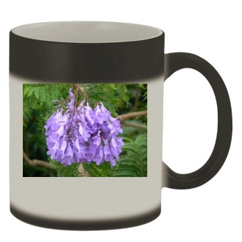 Flowers Color Changing Mug