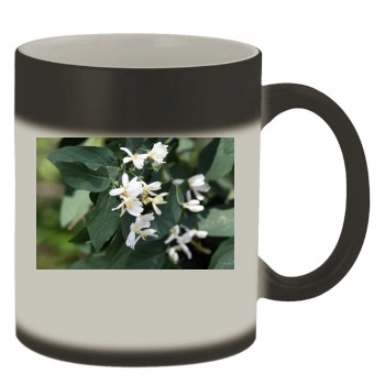 Flowers Color Changing Mug