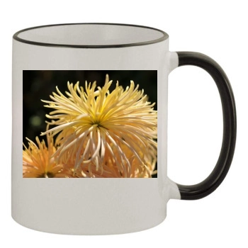 Flowers 11oz Colored Rim & Handle Mug