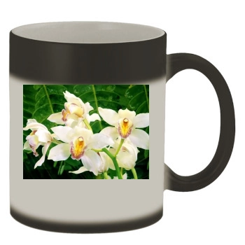 Flowers Color Changing Mug