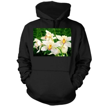 Flowers Mens Pullover Hoodie Sweatshirt