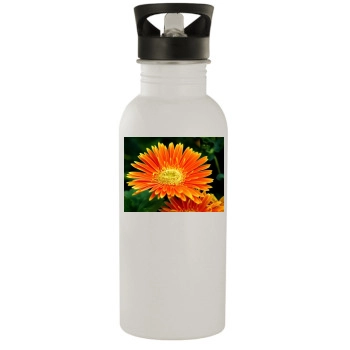 Flowers Stainless Steel Water Bottle