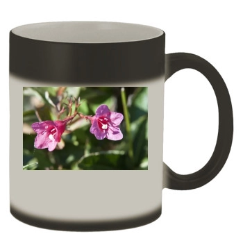 Flowers Color Changing Mug