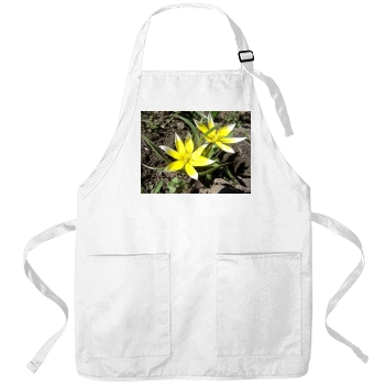 Flowers Apron