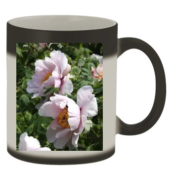 Flowers Color Changing Mug