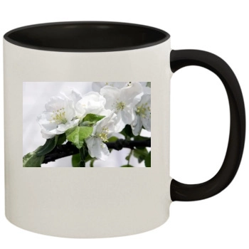 Flowers 11oz Colored Inner & Handle Mug