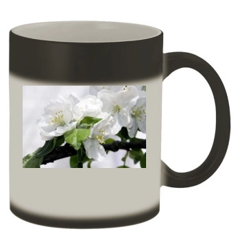 Flowers Color Changing Mug