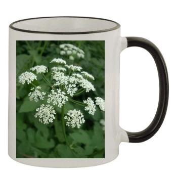 Flowers 11oz Colored Rim & Handle Mug