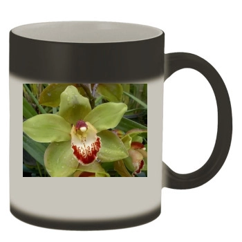 Flowers Color Changing Mug