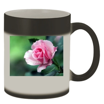 Flowers Color Changing Mug