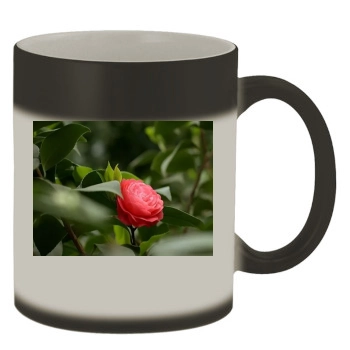 Flowers Color Changing Mug