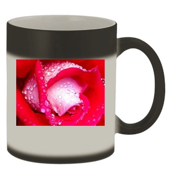 Flowers Color Changing Mug