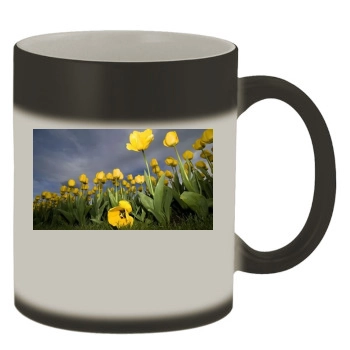 Flowers Color Changing Mug