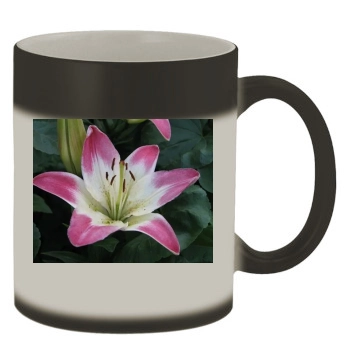 Flowers Color Changing Mug